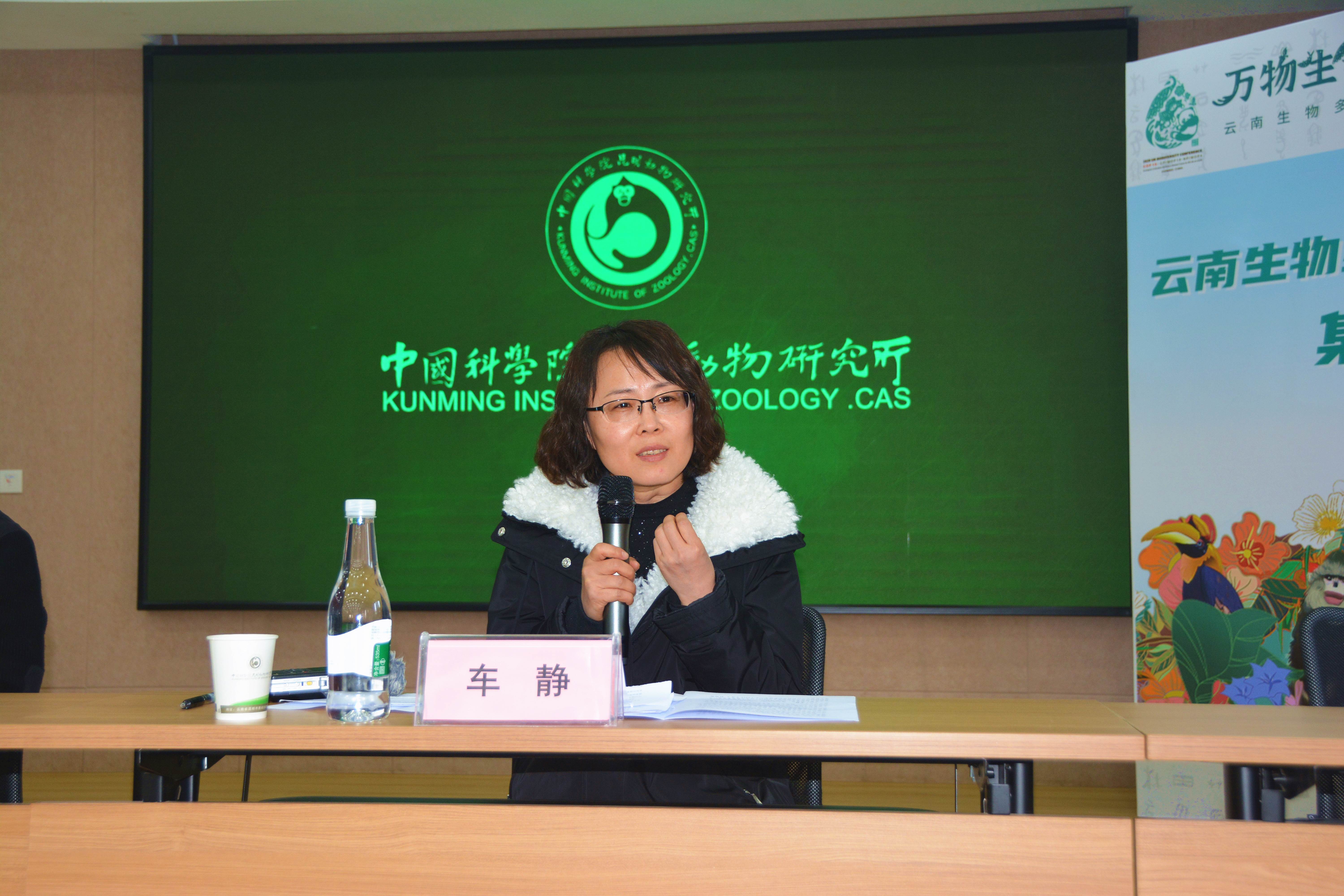 电子游戏app下载安装