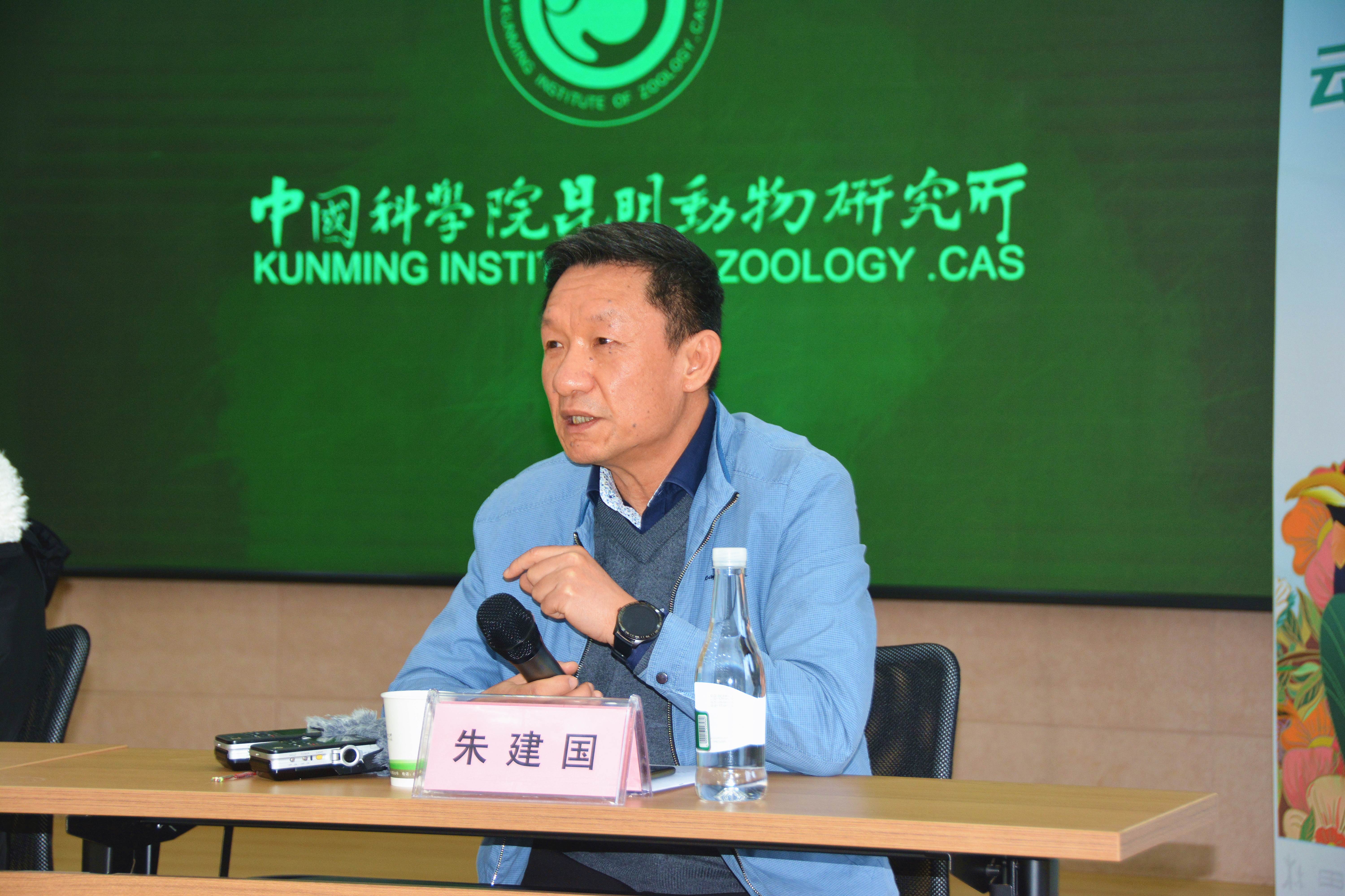 电子游戏app下载安装