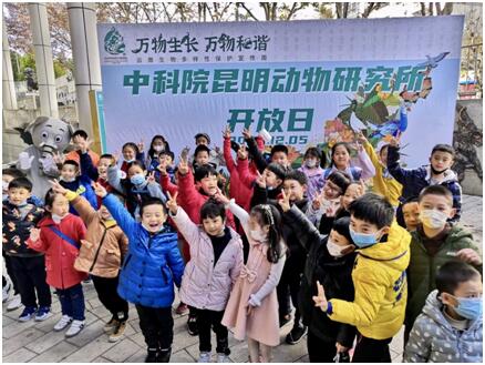 电子游戏app下载安装