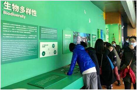 电子游戏app下载安装