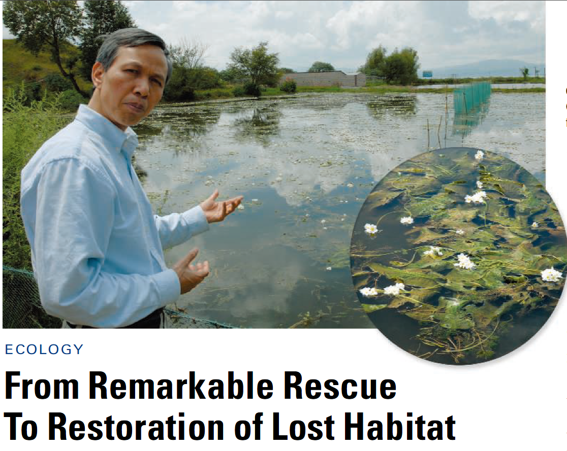 电子游戏app下载安装