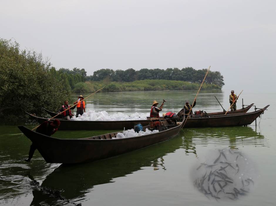 电子游戏app下载安装