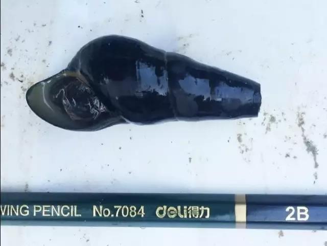 电子游戏app下载安装