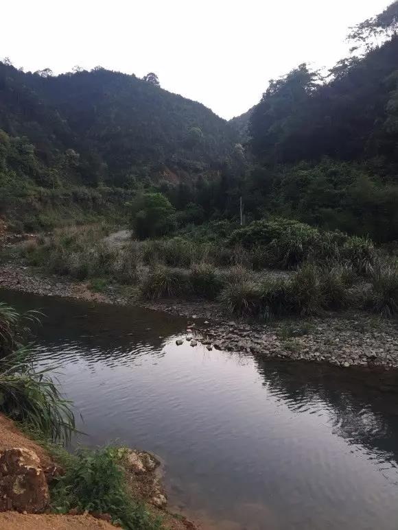 电子游戏app下载安装