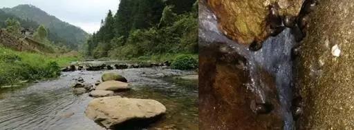 电子游戏app下载安装