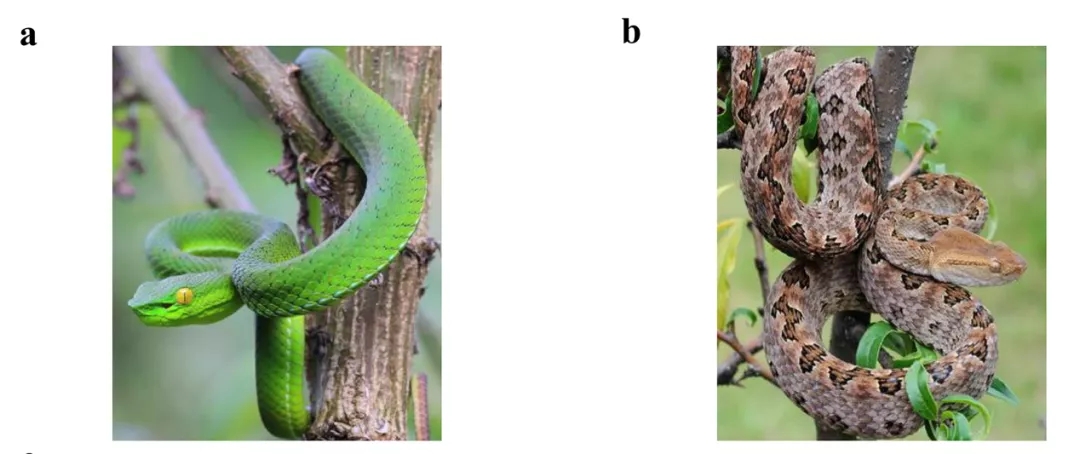 电子游戏app下载安装