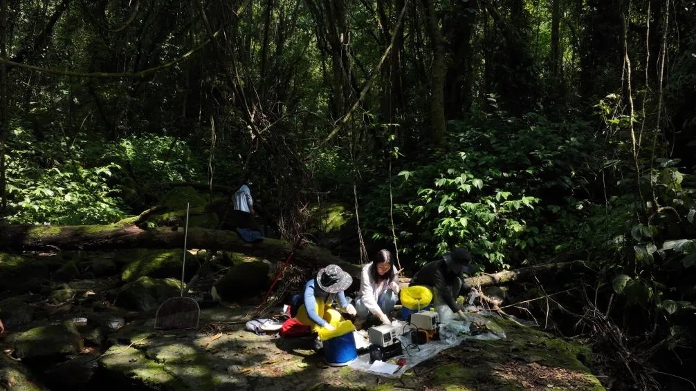 电子游戏app下载安装