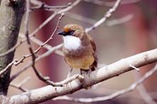 电子游戏app下载安装