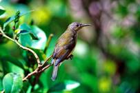 电子游戏app下载安装