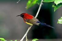 电子游戏app下载安装