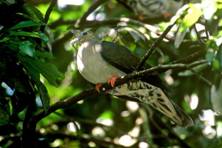 电子游戏app下载安装