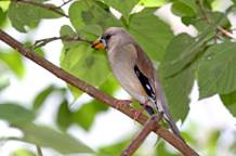 电子游戏app下载安装