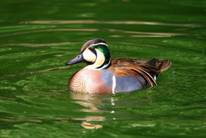 电子游戏app下载安装