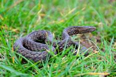 电子游戏app下载安装