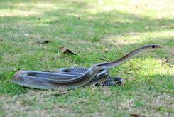 电子游戏app下载安装