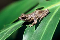 电子游戏app下载安装