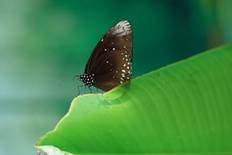 电子游戏app下载安装