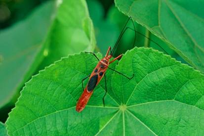 电子游戏app下载安装