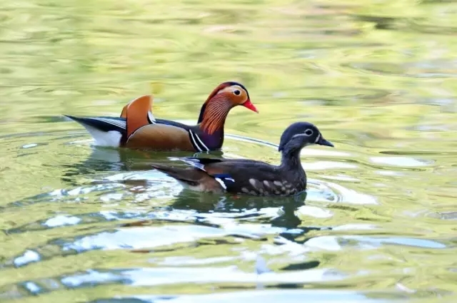 电子游戏app下载安装