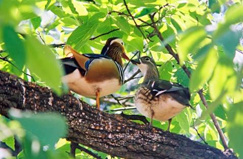 电子游戏app下载安装