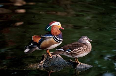 电子游戏app下载安装