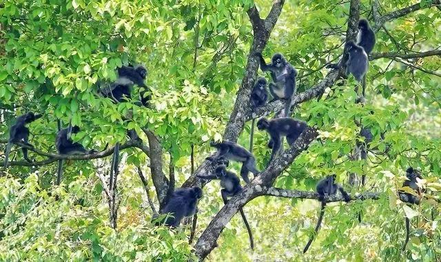 电子游戏app下载安装