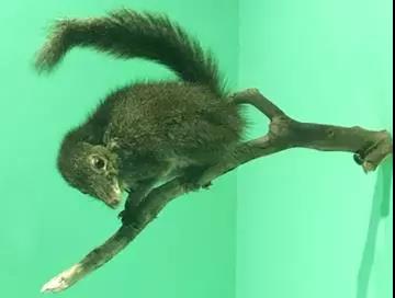 电子游戏app下载安装