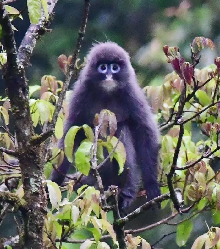 电子游戏app下载安装