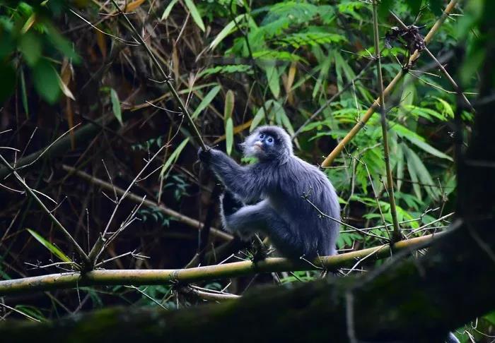 电子游戏app下载安装