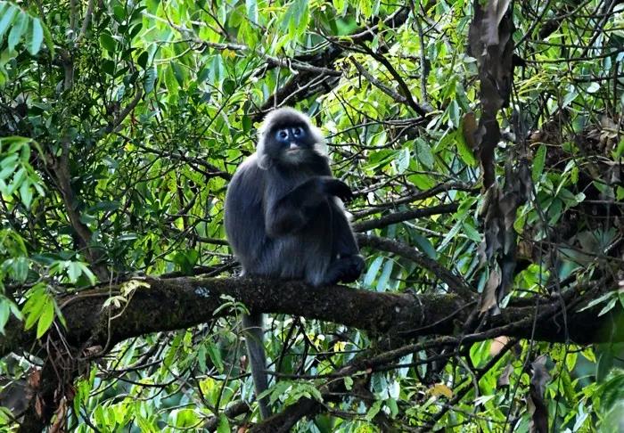 电子游戏app下载安装