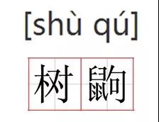 电子游戏app下载安装