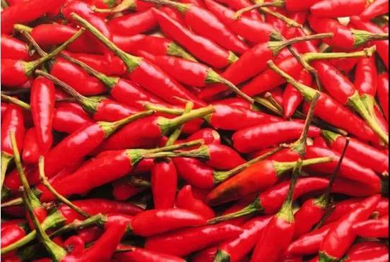 电子游戏app下载安装