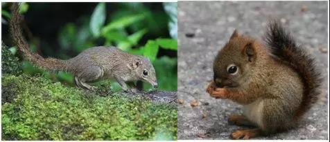 电子游戏app下载安装