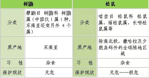 电子游戏app下载安装