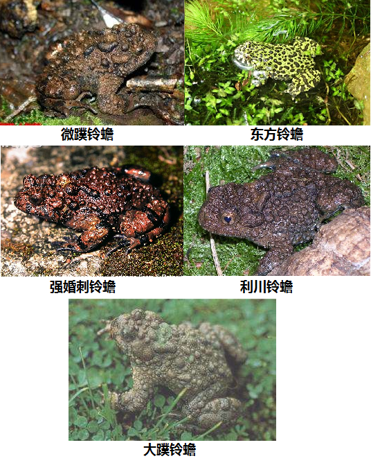 电子游戏app下载安装