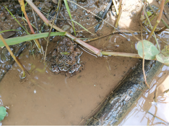 电子游戏app下载安装