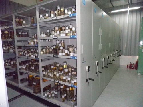 电子游戏app下载安装