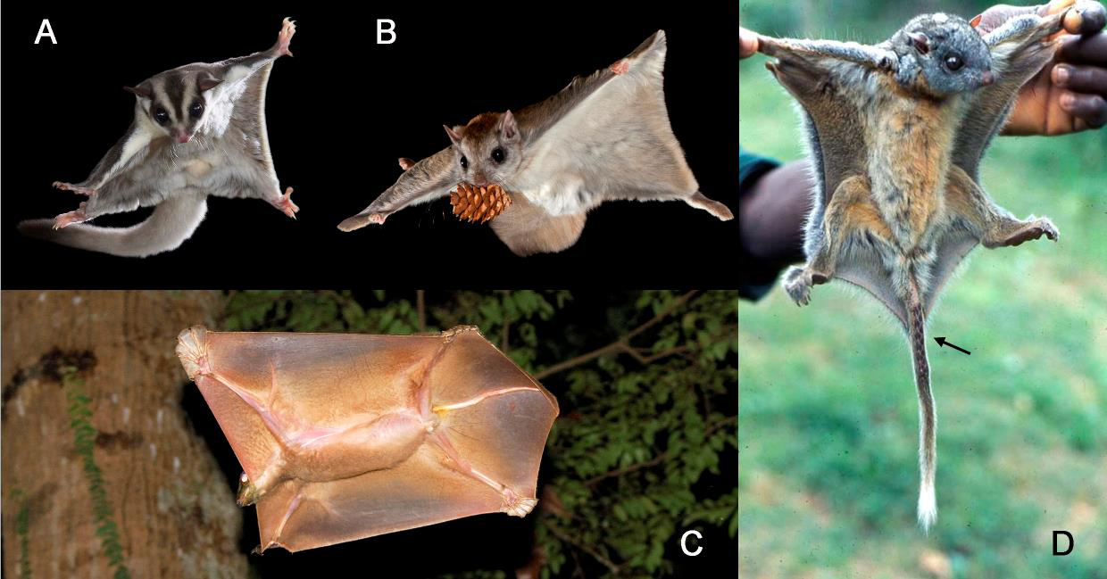 电子游戏app下载安装