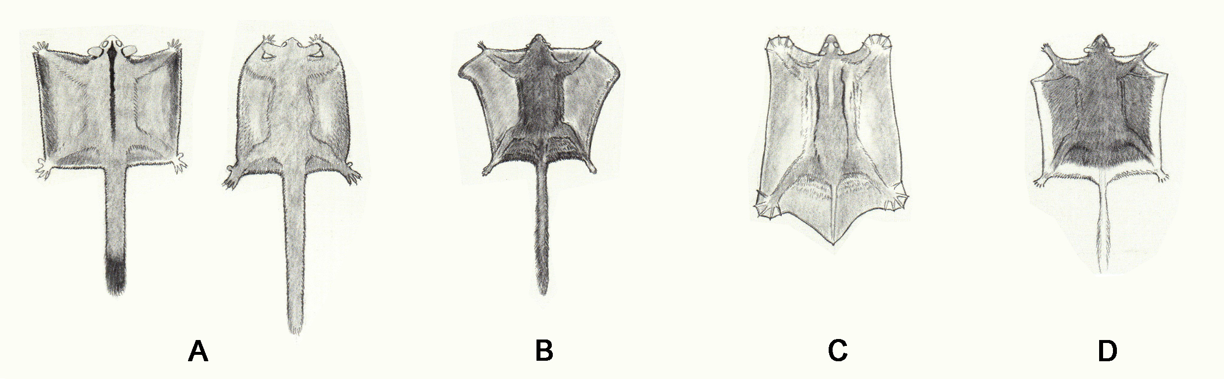 电子游戏app下载安装