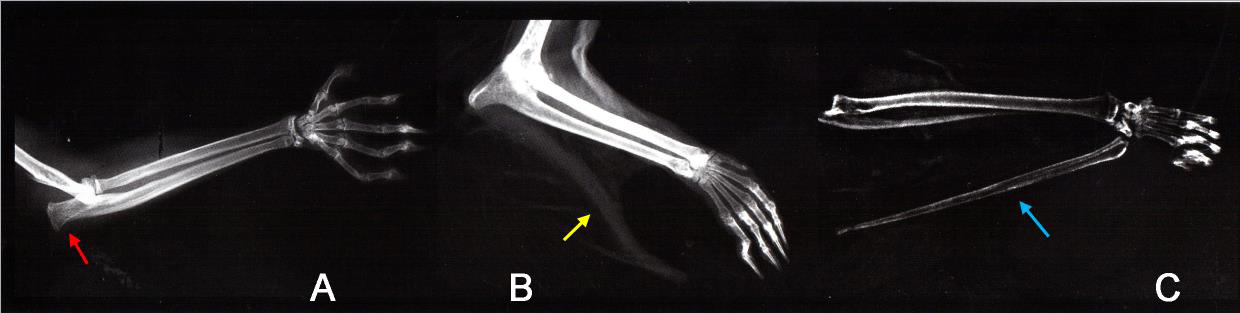 电子游戏app下载安装