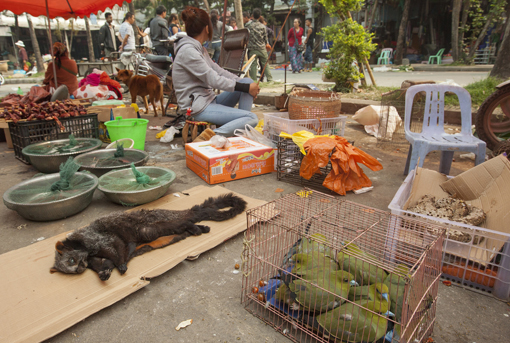 电子游戏app下载安装