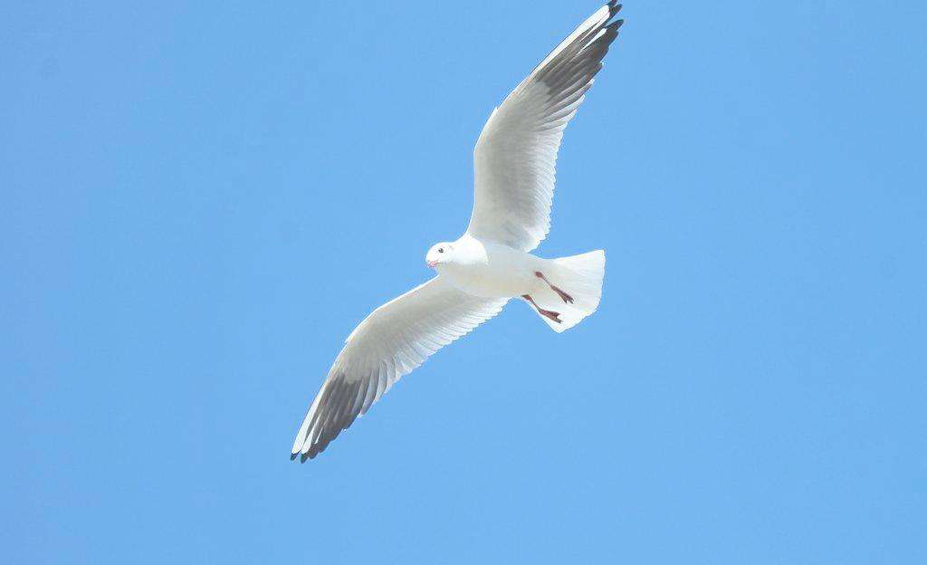 电子游戏app下载安装