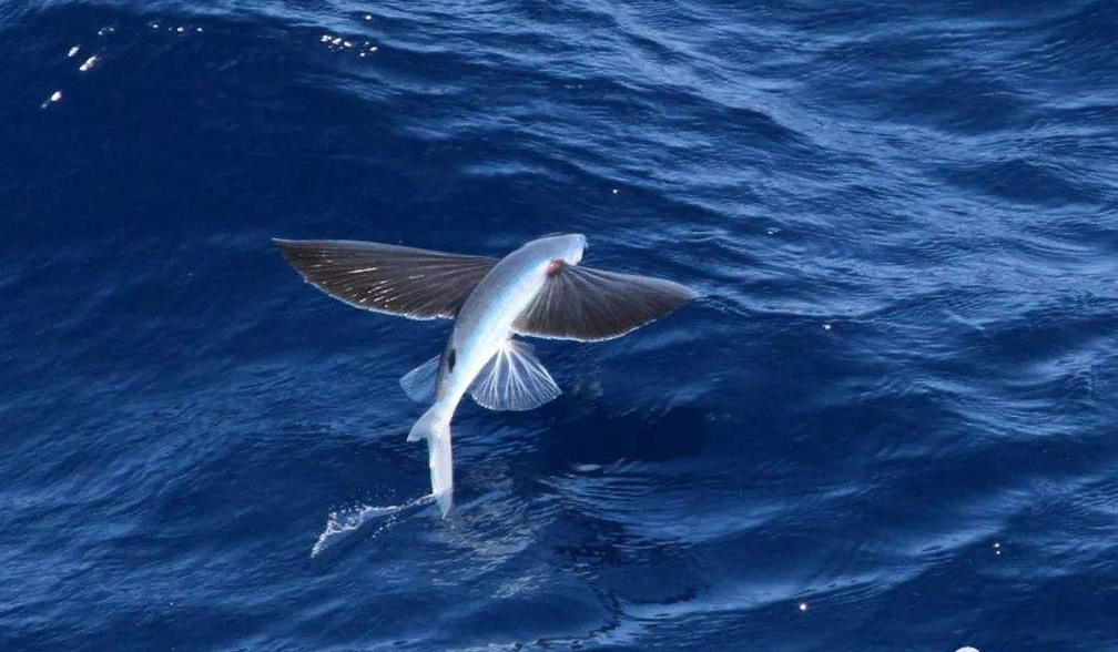 电子游戏app下载安装