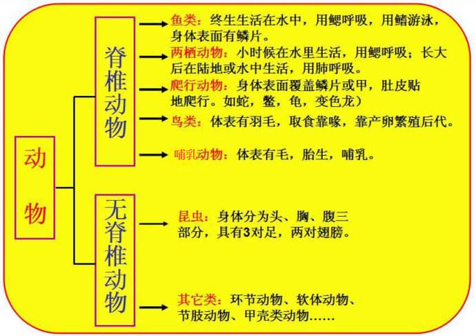 电子游戏app下载安装