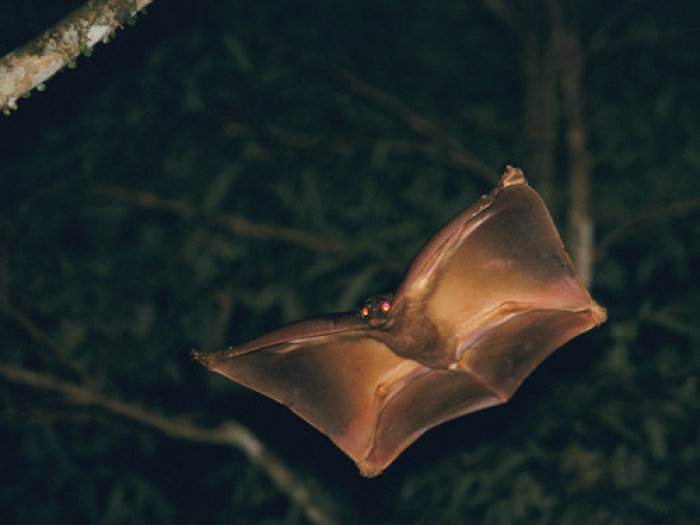 电子游戏app下载安装