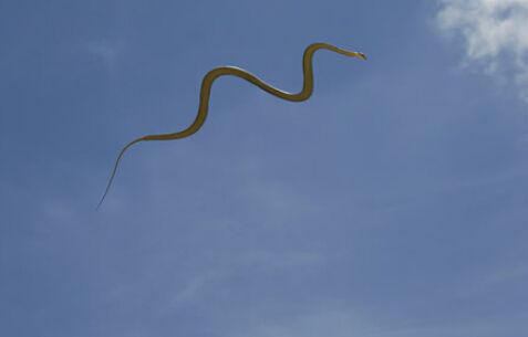 电子游戏app下载安装