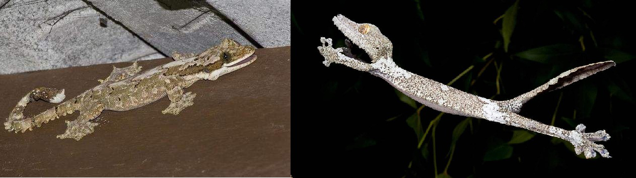 电子游戏app下载安装