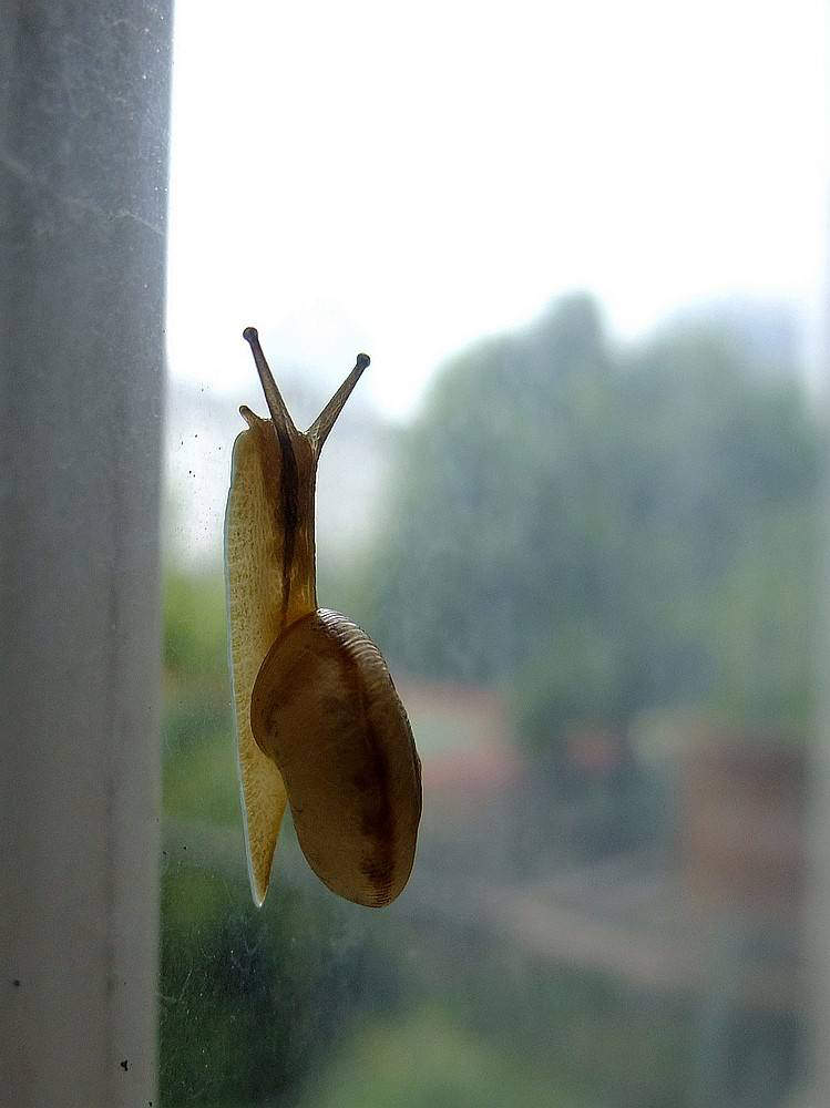 电子游戏app下载安装