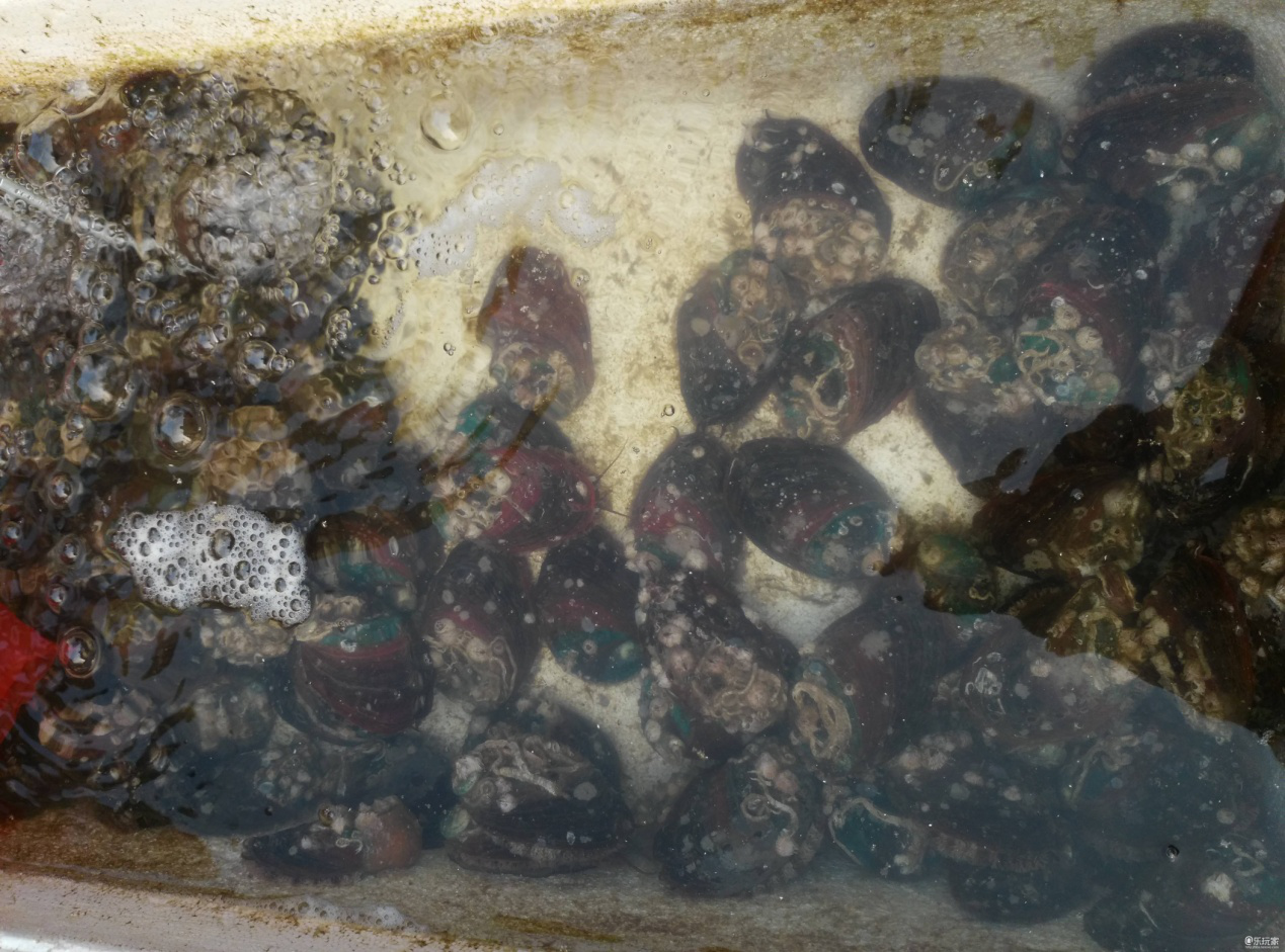 电子游戏app下载安装