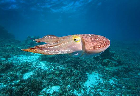 电子游戏app下载安装